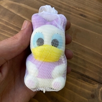  عکس3 اسکوئیشی